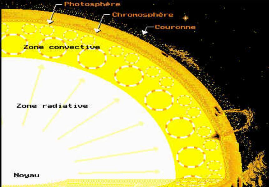 structure interne